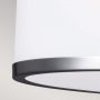 Lampa wisząca 2x60 W chrom-nikiel FEPROSPECTPARKSF Elstead Lighting Prospect Park zdj.4