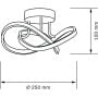 Lampa podsufitowa 1x15 W czarna 329677 Goldlux Oskar zdj.2