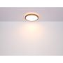 Plafon 4176412 Globo Lighting Bruno zdj.9