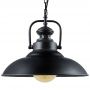 Lampa wisząca 1x20 W czarna 305473 Goldlux Iceland zdj.3