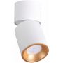 Lampa podsufitowa 1x10 W biała 314260 Goldlux Nixa zdj.1