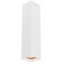 Lampa podsufitowa 1x10 W biała CLN28394LWH Italux Ander zdj.1