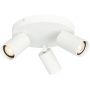Lampa podsufitowa 3x10 W biała SPL234363RWH Italux Nesto zdj.1