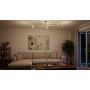 Lampa podsufitowa 4x10 W bursztynowa-beżowa K5996 Kaja Spark zdj.3