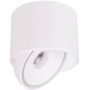 Lampa podsufitowa 1x10 W biała C0265 MaxLight Vector zdj.1