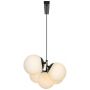 Lampa wisząca 5x10 W czarna 2612623003 Nordlux Lilly zdj.3