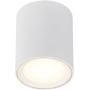 Lampa podsufitowa 1x5.5 W biały 47550101 Nordlux Fallon zdj.1