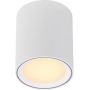 Lampa podsufitowa 1x5.5 W biały 47550101 Nordlux Fallon zdj.4