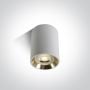 Lampa podsufitowa 12105ALWGL One Light Lawrio zdj.1