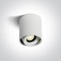 Lampa podsufitowa 12108XWW One Light Pylos zdj.1