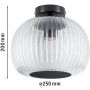 Lampa podsufitowa 1x60 W czarna 71146 Paulmann Ruya zdj.2