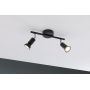 Lampa podsufitowa 66751 Paulmann Carolina zdj.2