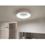 Plafon 1x16 W aluminium PL71094 Paulmann Casca zdj.5