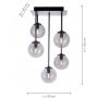 Lampa podsufitowa 5x3 W czarny 671918 Paul Neuhaus Widow zdj.2