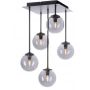 Lampa podsufitowa 5x3 W czarny 671918 Paul Neuhaus Widow zdj.1