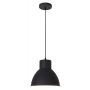 Lampa wisząca 1x60 W antracyt 2578 Rabalux Derek zdj.1