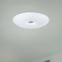 Plafon 1427 Rabalux Primrose zdj.5