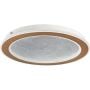 Plafon 1x24 W biały 71281 Rabalux Efrael zdj.1