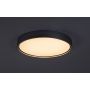 Plafon 1x37 W aluminium 71289 Rabalux Dewson zdj.5