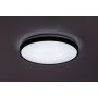 Inteligentny plafon 1x36 W biały-czarny 71441 Rabalux Alenzo zdj.5