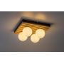 Lampa podsufitowa 4x5 W czarna-drewno 71462 Rabalux Noxelle zdj.4