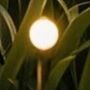 Lampa solarna stojąca 1x1 W czarny 77043 Rabalux Tavira zdj.3