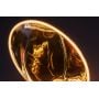 Żarówka LED 1x4 W 1800 K e27 79076 Rabalux Filament-Led zdj.7