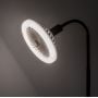 Żarówka LED x16 W 3000 K e27 79231 Rabalux Smd-Led zdj.4