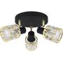 Lampa podsufitowa 1x10 W czarna-złota 04902 Strühm Dunbar zdj.1