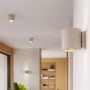 Kinkiet 1x8 W beżowy SL2092 Sollux Lighting Orbis zdj.12