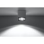 Lampa podsufitowa SL0699 Sollux Lighting Blake zdj.5