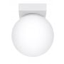 Lampa podsufitowa 1x12 W biała SL1146 Sollux Lighting Yoli zdj.1