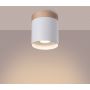 Plafon 1x10 W biały-drewno SL1348 Sollux Lighting Rif zdj.4