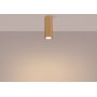 Lampa podsufitowa 1x10 W złota SL1550 Sollux Lighting Karbon zdj.4