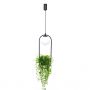 Lampa wisząca 1x40 W czarna 5003 Zuma Line Plant zdj.5