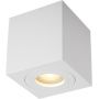 Lampa podsufitowa 1x50 W biały ACGU10160N Zuma Line Quardip zdj.1