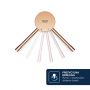 Bateria prysznicowa ścienna brushed warm sunset 33636DL1 Grohe Essence zdj.6
