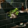 Kubek na szczoteczki 28916210 Hansgrohe WallStoris Planet Edition zdj.4