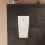 Pisuar 60127450 Hansgrohe EluPura Original Q zdj.6