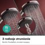 Zestaw prysznicowy ścienny termostatyczny z deszczownicą chrom 24594000 Hansgrohe Raindance Alive S zdj.5