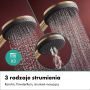 Zestaw prysznicowy ścienny termostatyczny z deszczownicą 24594140 Hansgrohe Raindance Alive S zdj.5