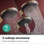 Zestaw prysznicowy podtynkowy termostatyczny z deszczownicą 24622140 Hansgrohe Raindance Alive Select S zdj.5