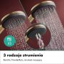 Zestaw prysznicowy podtynkowy termostatyczny z deszczownicą 24630140 Hansgrohe Raindance Alive S zdj.7