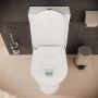 Miska WC stojąca bez kołnierza biały połysk 62012450 Hansgrohe EluPura Original S zdj.6