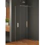 Ścianka prysznicowa walk-in 120 cm chrom połysk/szkło przezroczyste EXK4089 New Trendy Smart zdj.1