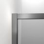 Drzwi prysznicowe 100 cm uchylne do wnęki CD201006145100 Sealskin Contour zdj.1