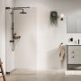 Ścianka prysznicowa walk-in 90 cm grafitowy szczotkowany/szkło przezroczyste PU010906145100 Sealskin Pure zdj.1