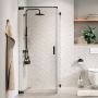 Ścianka prysznicowa walk-in 120 cm grafitowy szczotkowany/szkło przezroczyste PU231206145100 Sealskin Pure zdj.1