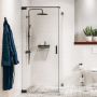 Ścianka prysznicowa walk-in 120 cm czarny mat/szkło przezroczyste PU231206195100 Sealskin Pure zdj.1