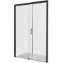 Drzwi prysznicowe 100 cm rozsuwane czarny mat/szkło przezroczyste 600271311059401 Sanplast Free Zone zdj.1